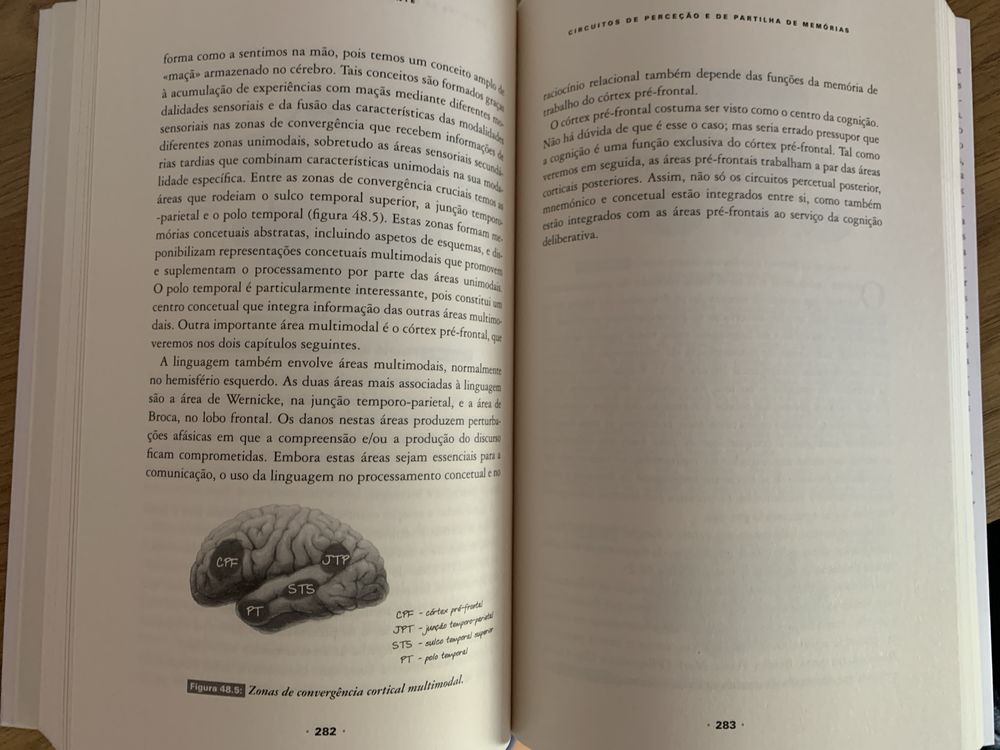 Livro “O Cérebro Consciente”