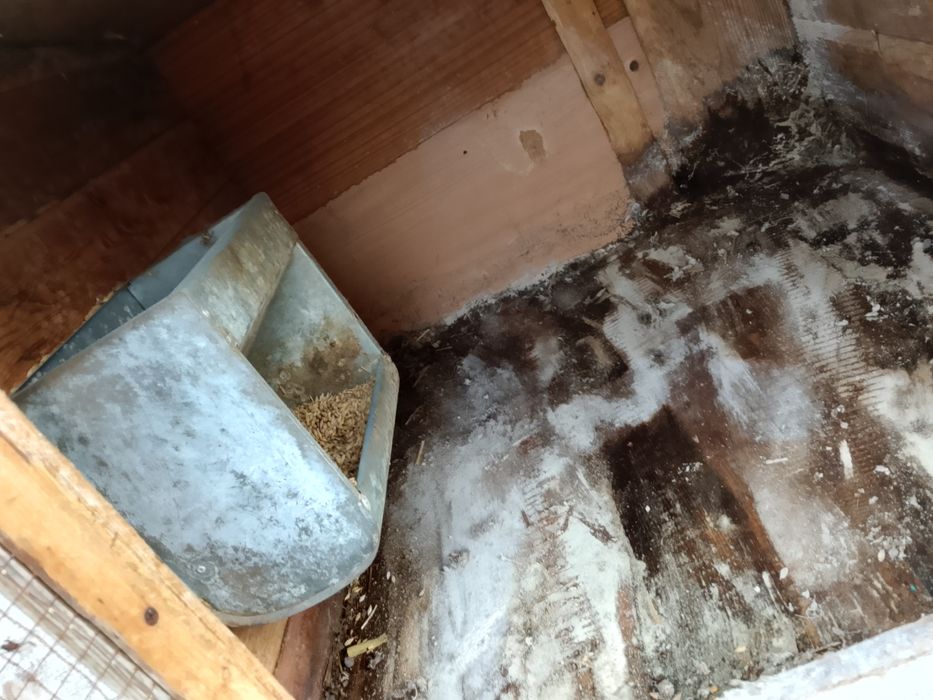 Sprzedam klatkę dla królików 4 komorową