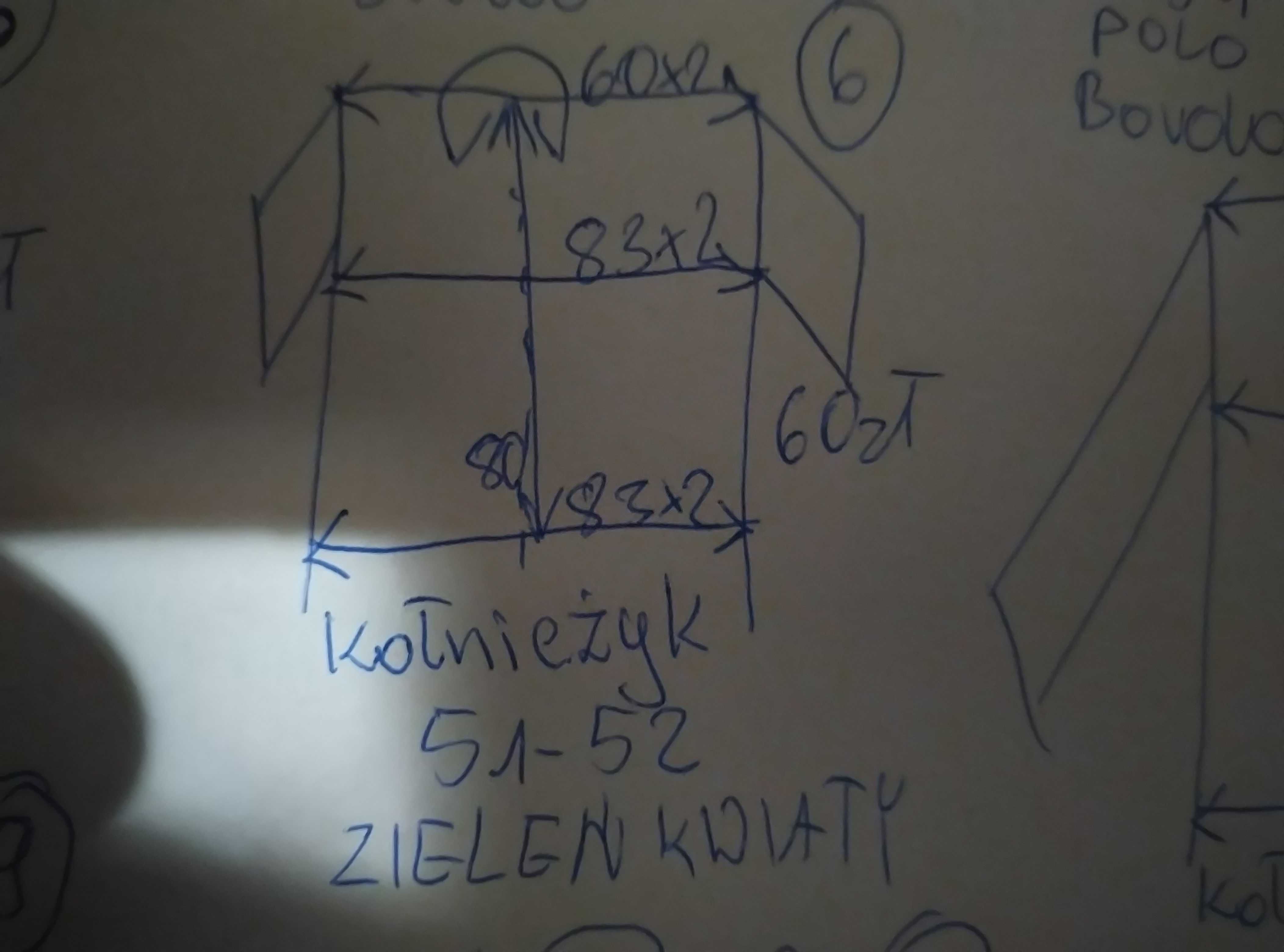 Koszula męska duża
