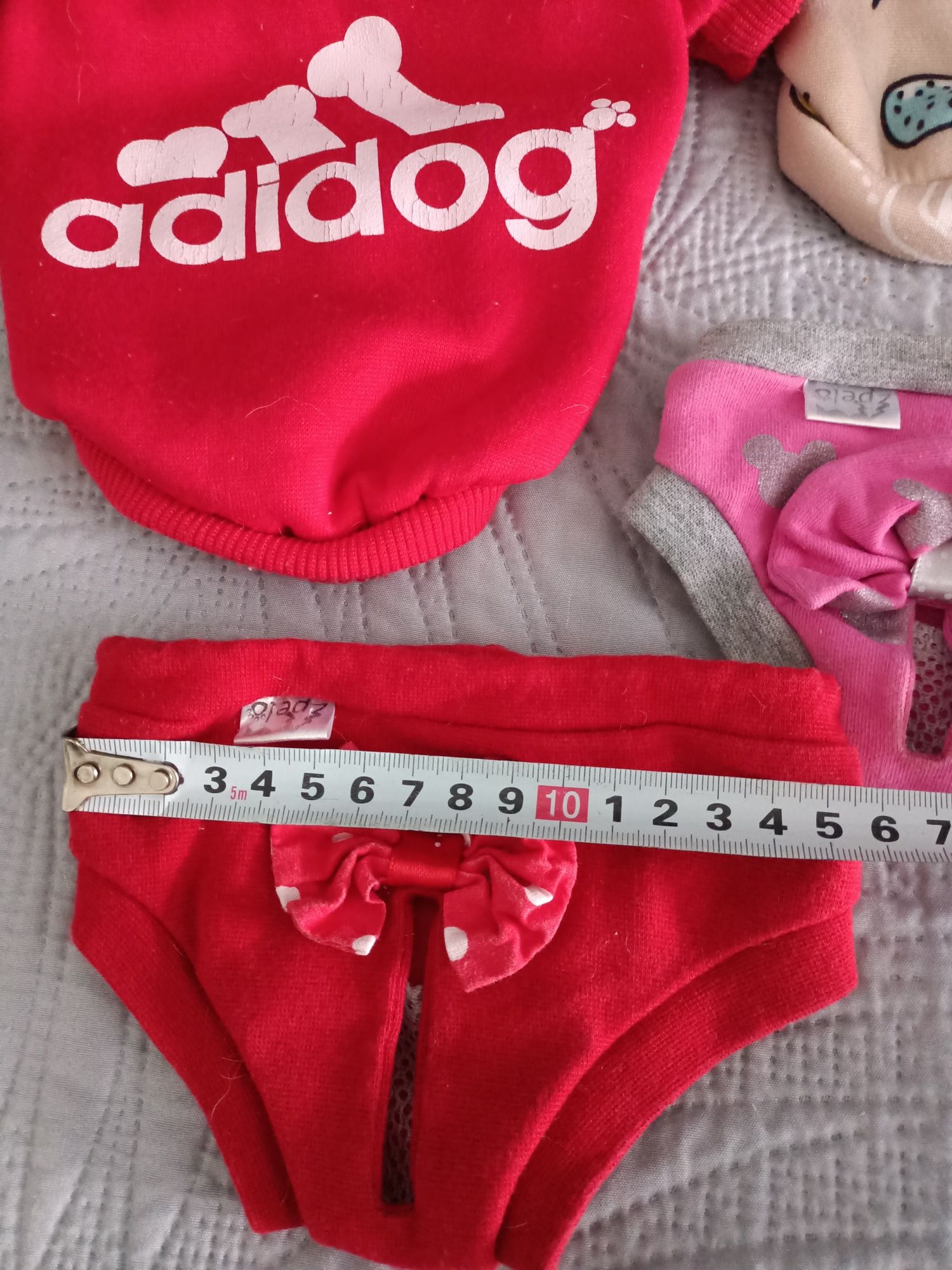 Chihuahua bluzy i majtki na cieczkę