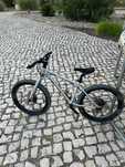 Bicicleta BTT Criança Roda 20 Early Rider