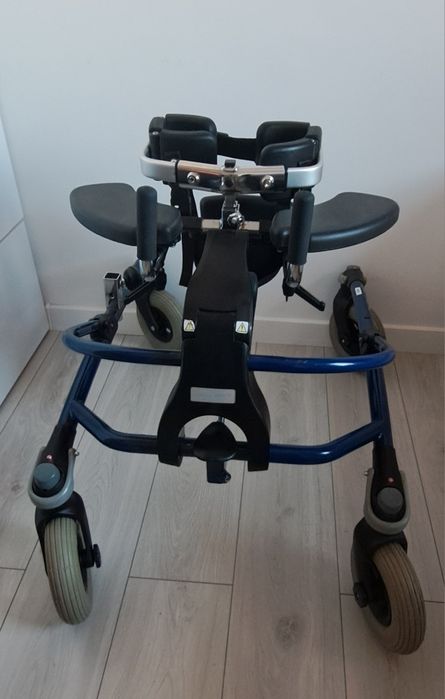 Pionizator dynamiczny mustang R82