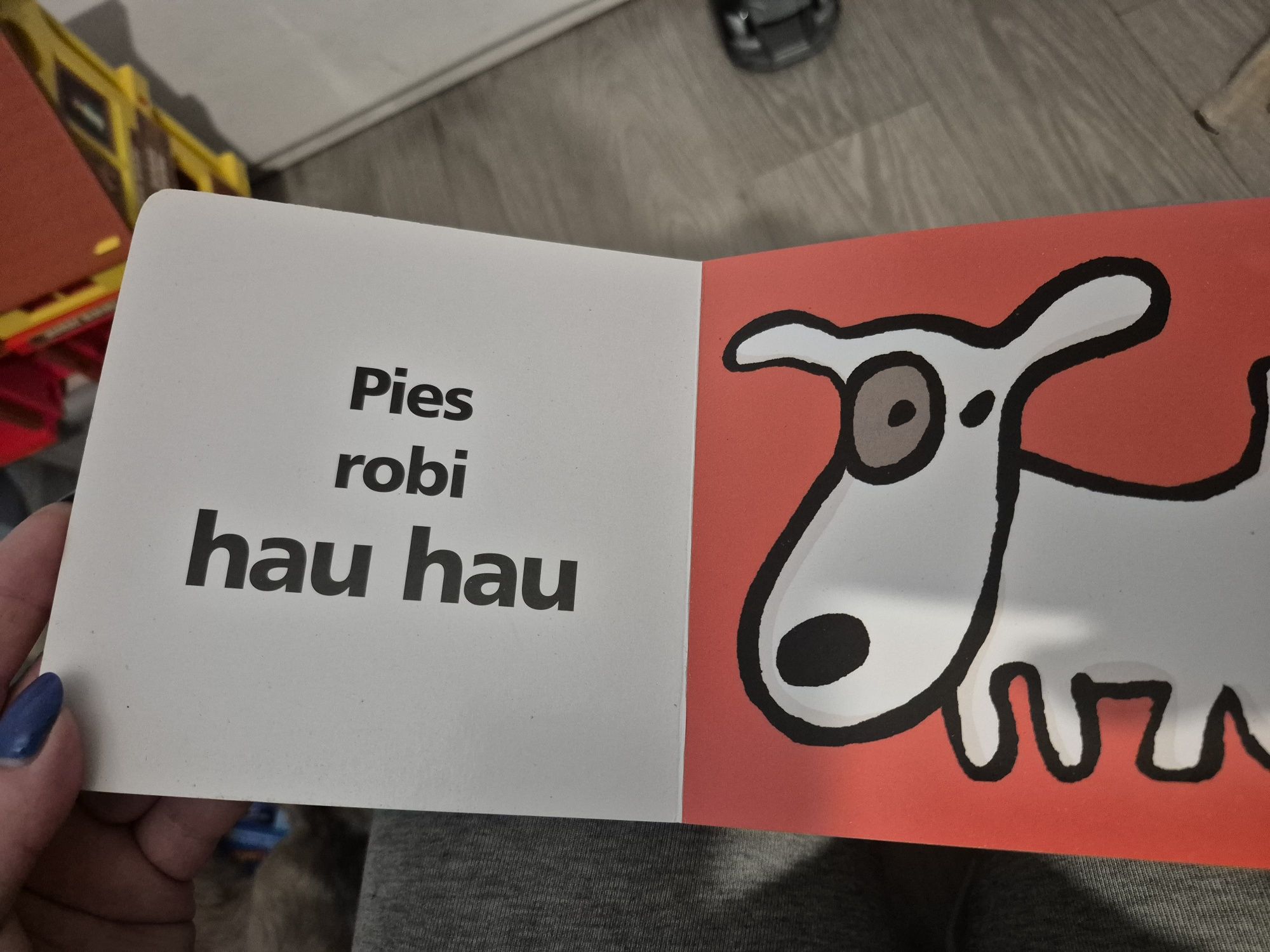 Książeczka Księga Dźwięków