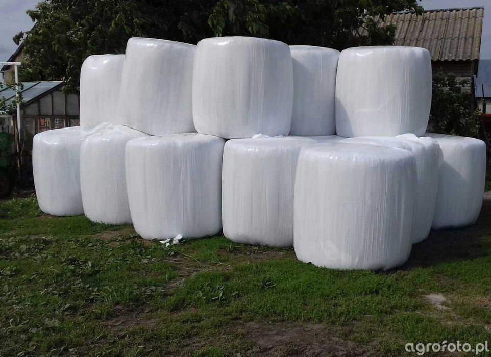 Bel kiszonki żyto, trawa, koniczyna