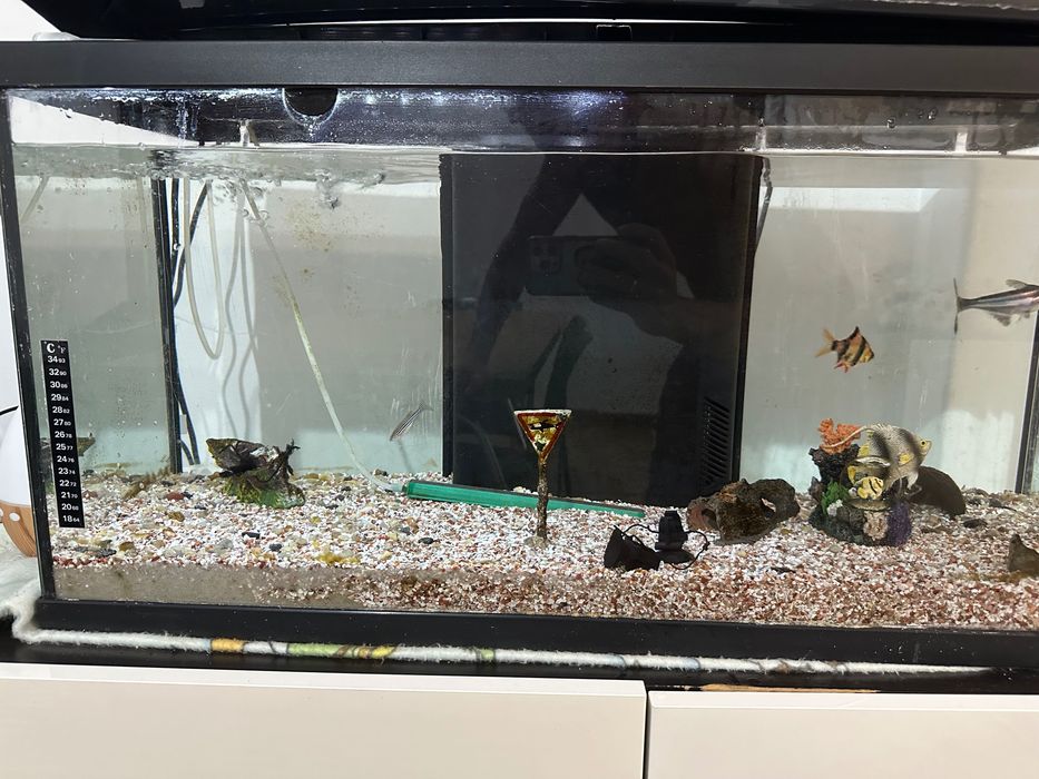 Aquário de Água Doce Quente Completo (90 Litros)