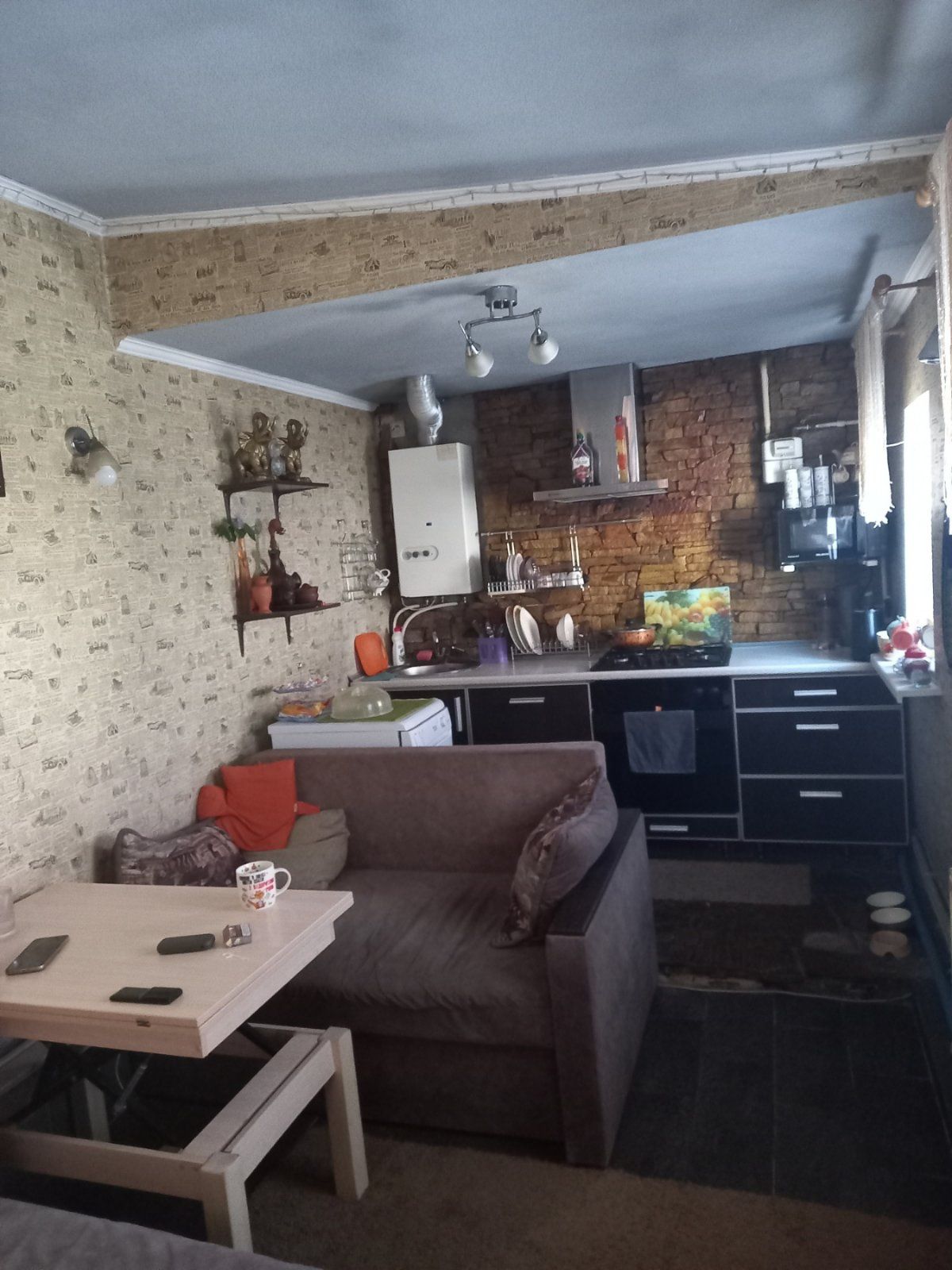 Продам домовладение Жихор 2 ,73 м КВ.