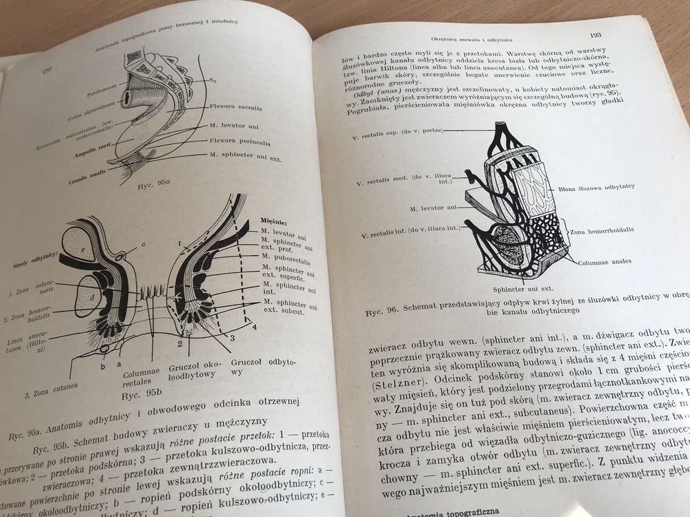 Anatomia topograficzna. Repetytorium dla lekarzy i studentów