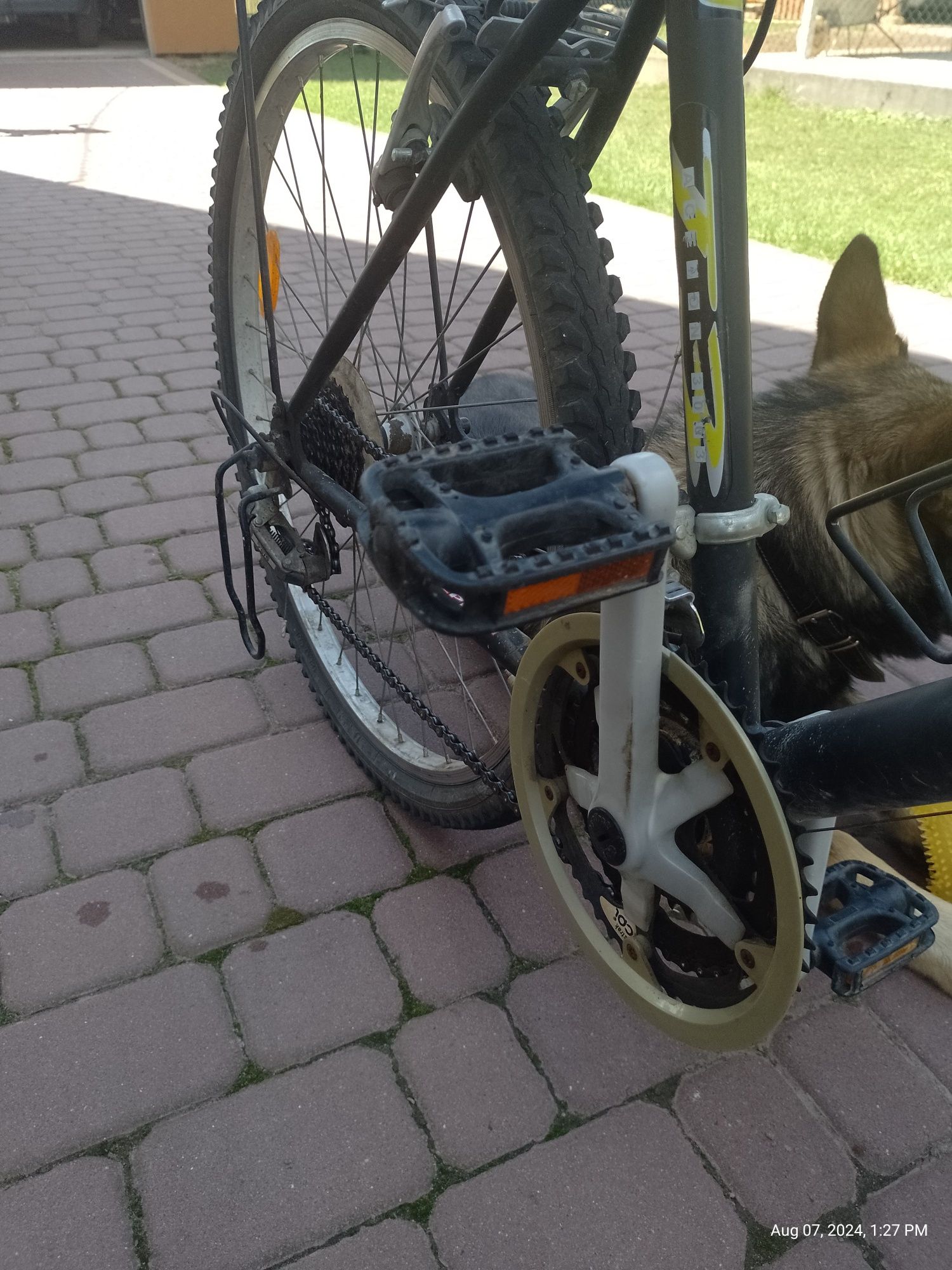 Rower olpran shimano