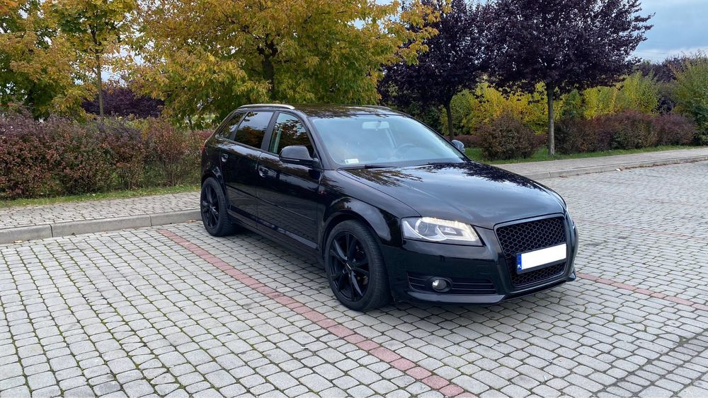 Audi A3 8P Lift 1.6 TDI