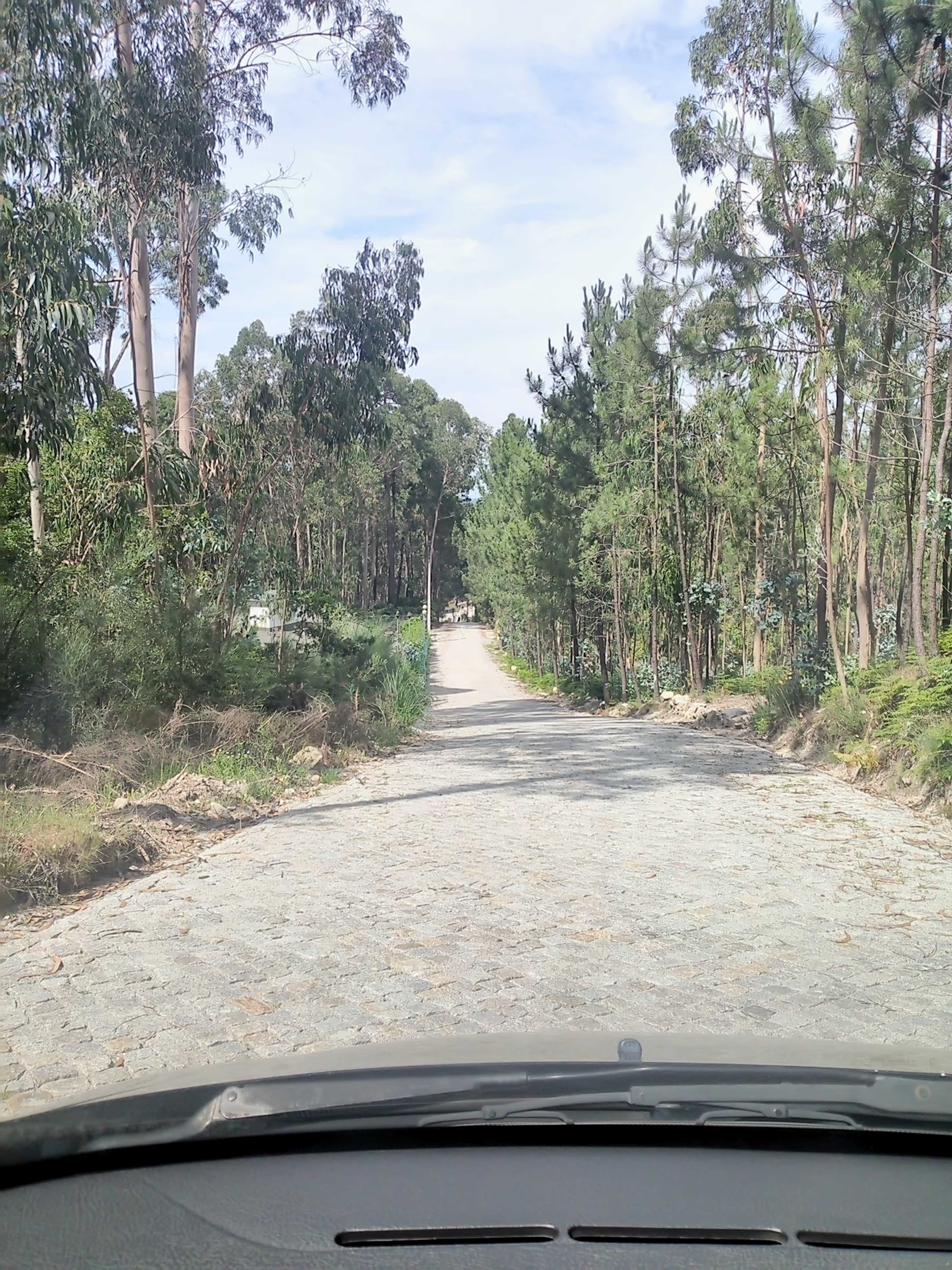 Terreno no Monte Crasto