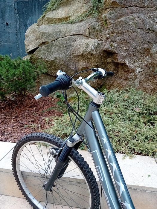 Bicicleta femenina de adulta