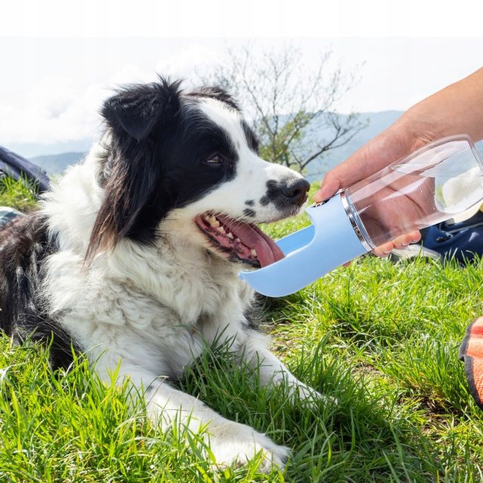 Poidło Dla Psa Bidon Z Miską Na Wodę 500ml