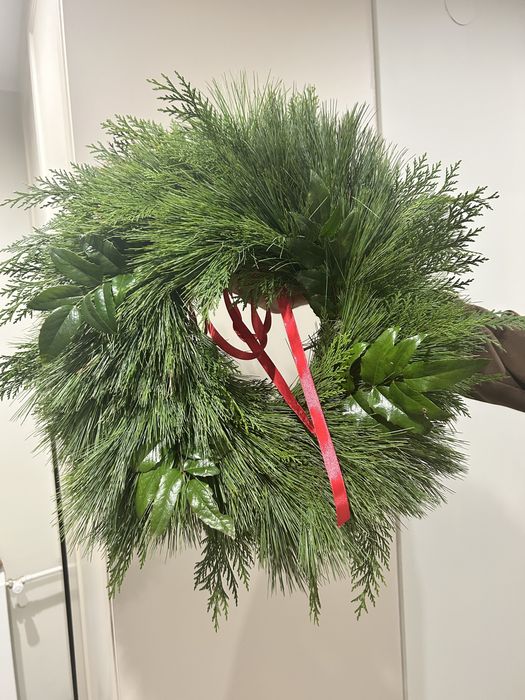 Wianek sosna wejmutka