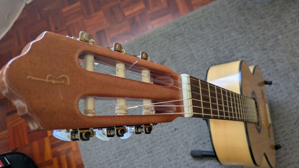 Guitarra Clássica APC 1F c/ Saco Gator de ofera