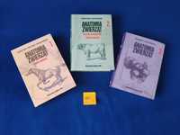 Anatomia zwierząt, Krysiak, zestaw, komplet, tom 1  tom 2 tom 3