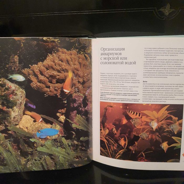 Аквариумные рыбки