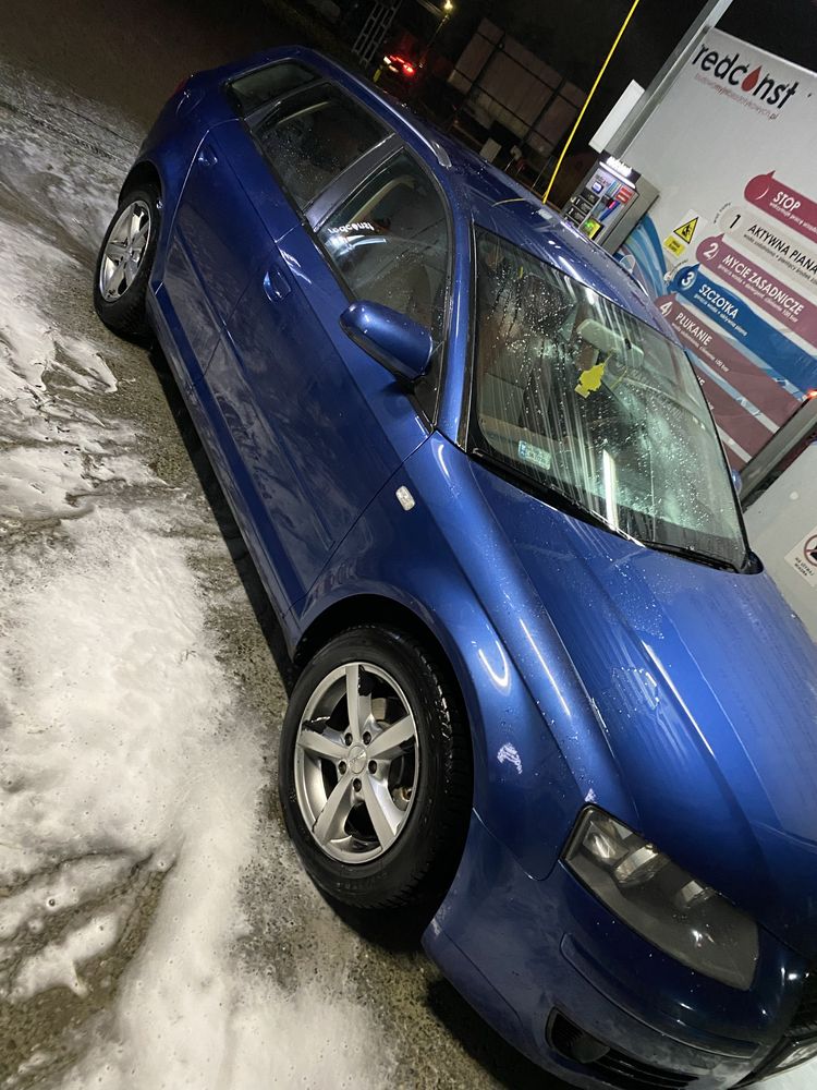Audi A3 8P 1.9 TDI