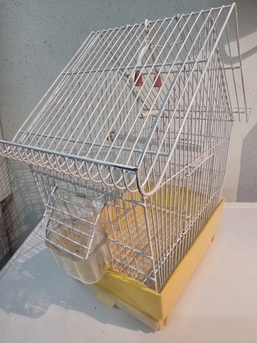 Gaiola para passaros