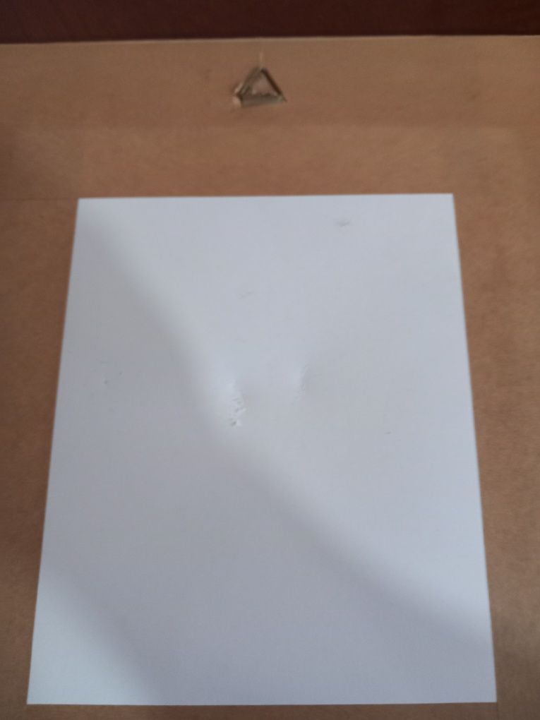 Quadro decoração com rosa saliente
