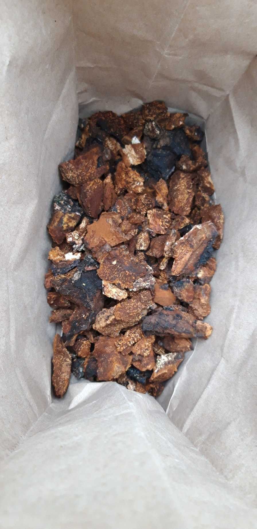 Blyskoporek Chaga Kawa Lasu Top