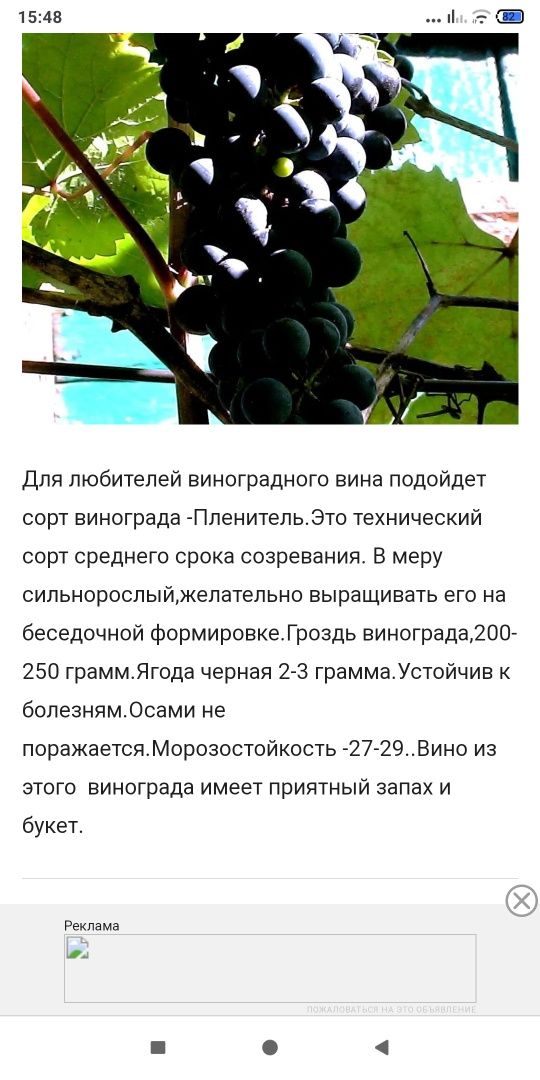 Саджанці виноград технічний,і столовий.персик,слива, черешня.абрикос