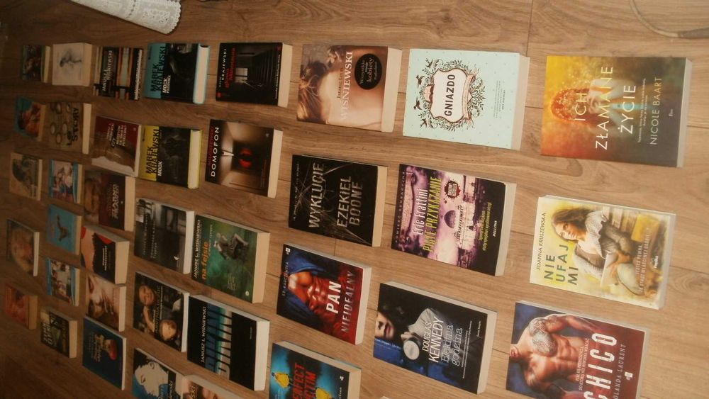 Duży zestaw książek - Miłoszewski, Wiśniewski, Krajewski i inni