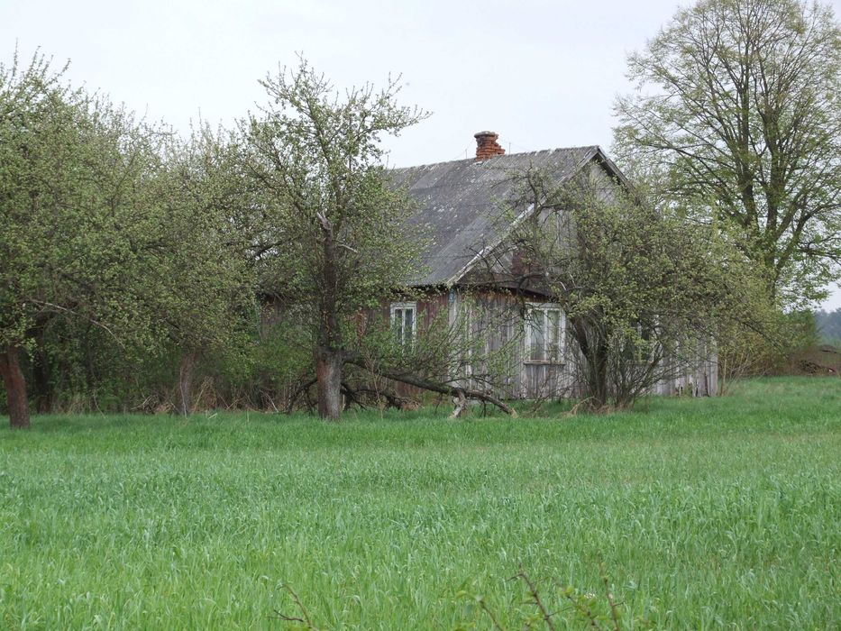 Gospodarstwo rolne 2,5ha Hruszew gm. Platerów pow. Łosice