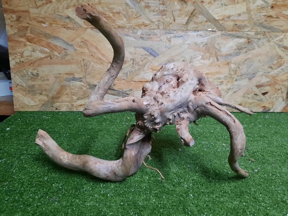 Korzeń do akwarium Red Moore Wood nr 971 o wymiarach 35/31/20