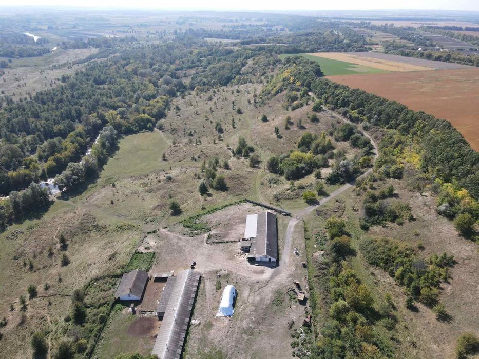 Продам територію ферми з приміщенням для вирощування птиці