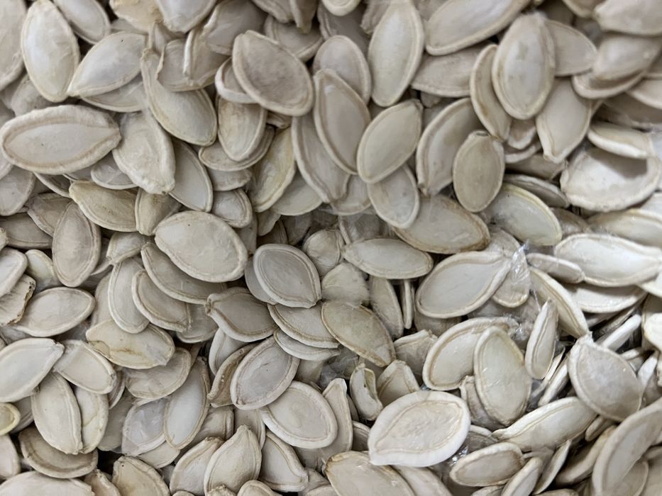 Гарбузове насіння (український багатоплідний)
