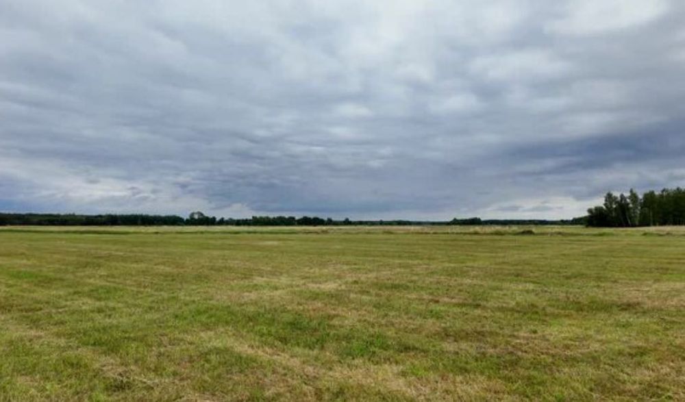 Udostępnię łąkę do wypasu (kozy, bydło, świnie) 0,7 ha