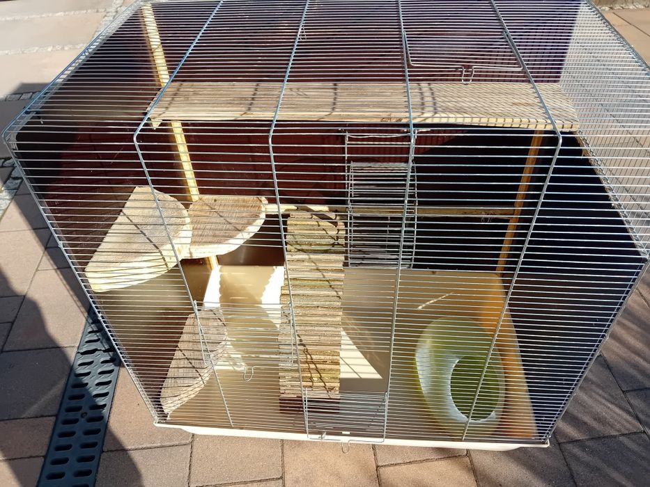 Klatka szynszyli gryzonia szczura wiewiorki