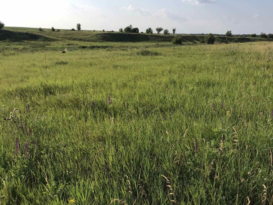 Продам землю 12 гектар 1000$ за га