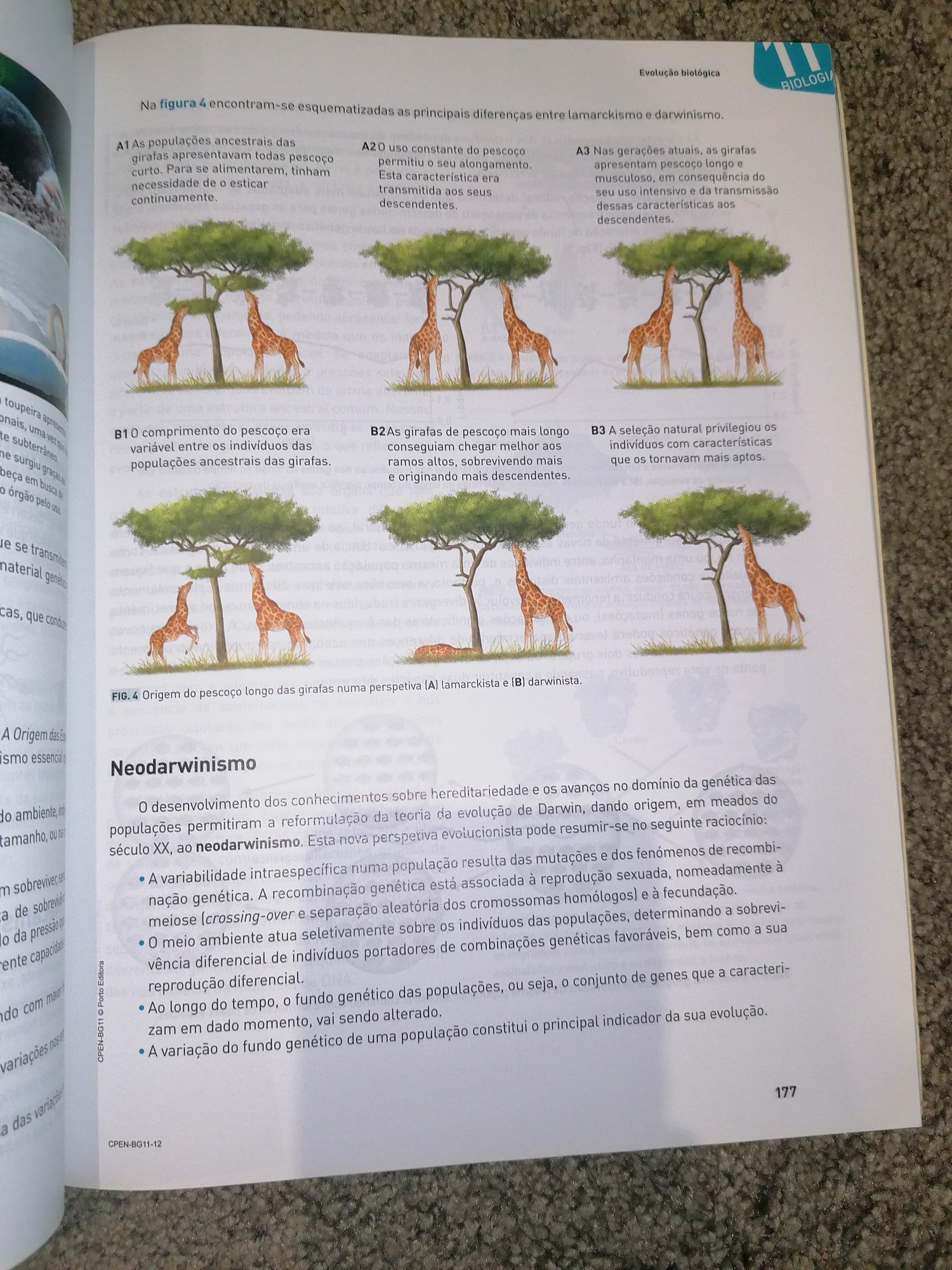 Preparação para o Exame Nacional de Biologia e Geologia 11°ano