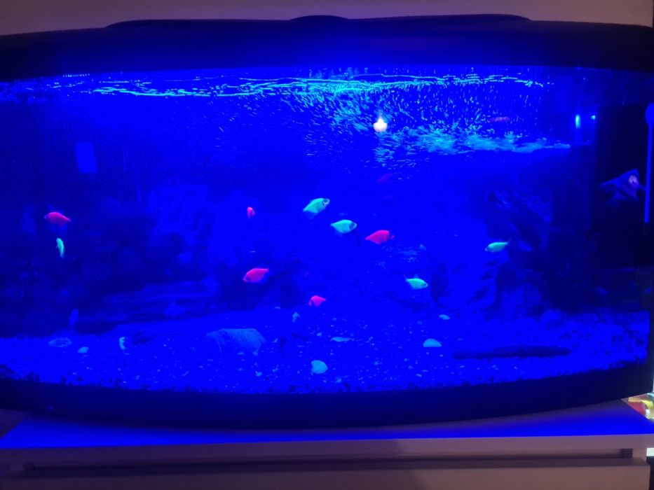 Sprzedam Akwarium 112L Diversa (Bez Rybek)