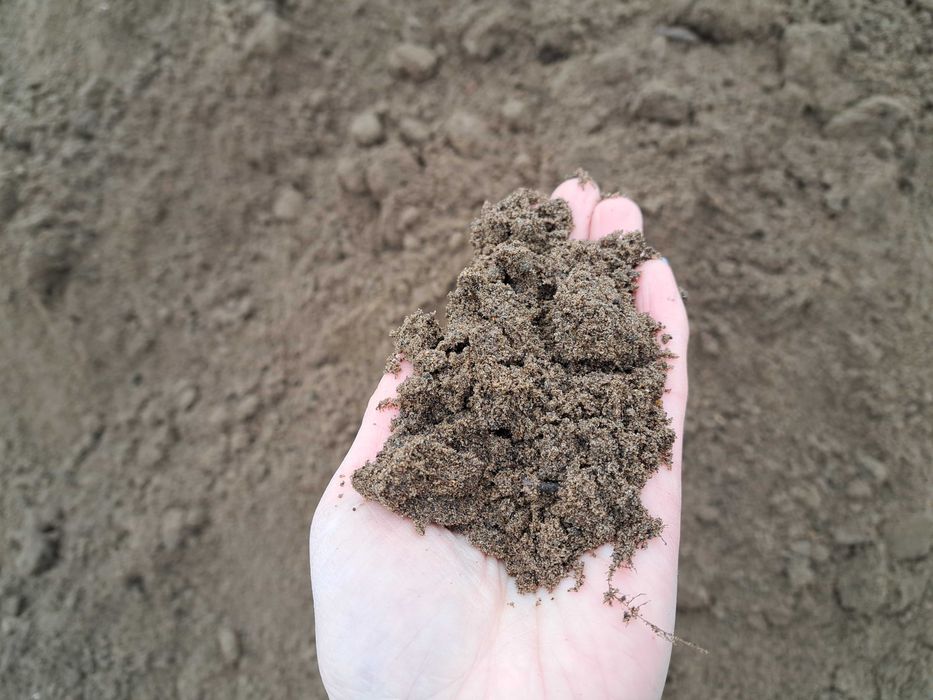 ziemia ogrodowa nieprzesiana, pod trawnik