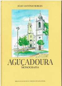 6723 Aguçadoura : monografia por Júlio António Borges.
