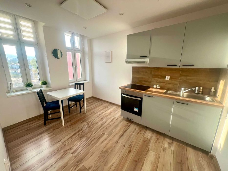 Do wynajęcia przestronne mieszkanie - Przyjazne dla zwierząt - Centrum