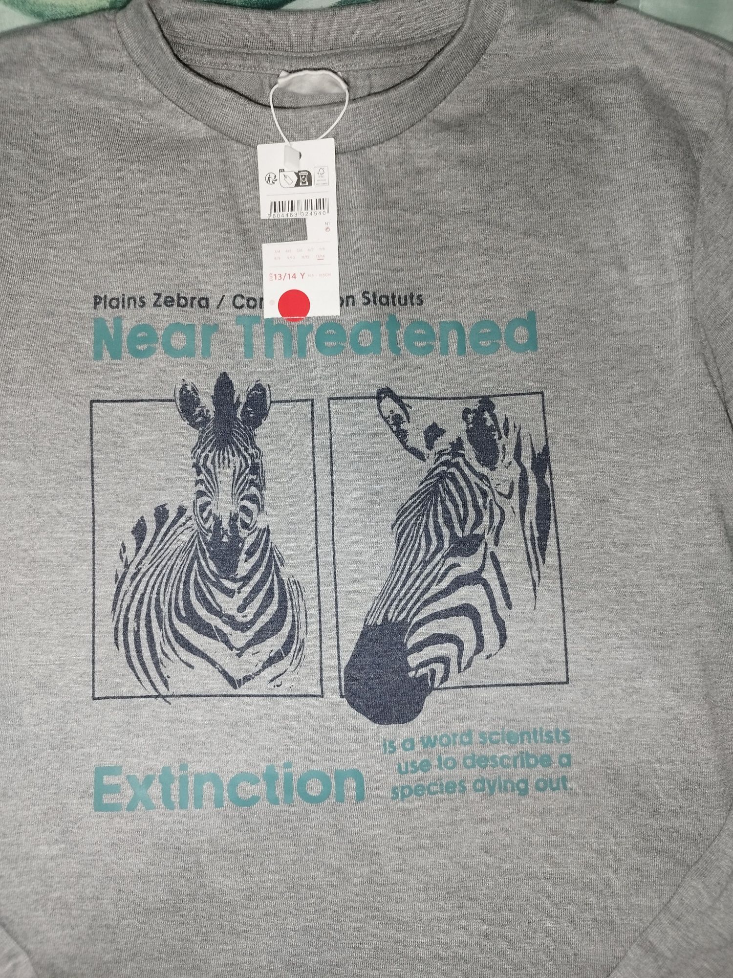 Sweet zebra  Zippy 13-14 anos