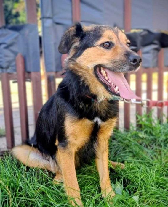 Radosny, przyjacielski, aktywny kawaler szuka kochającej rodziny