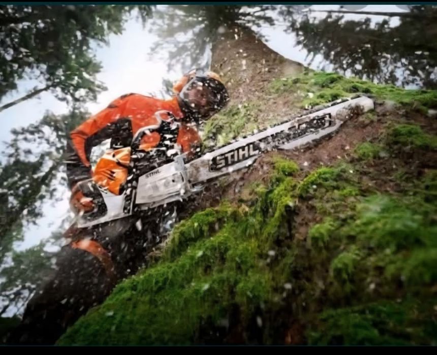 Wycinka drzew trudnych podnośnik koszowy