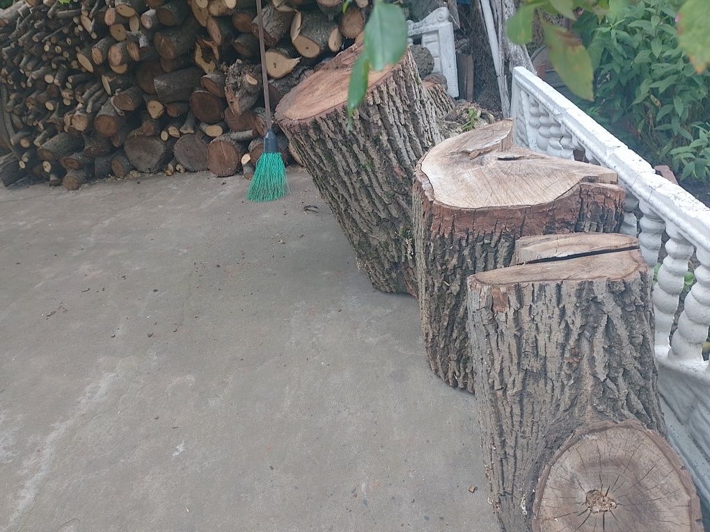 Продам дрова з великого  горіха