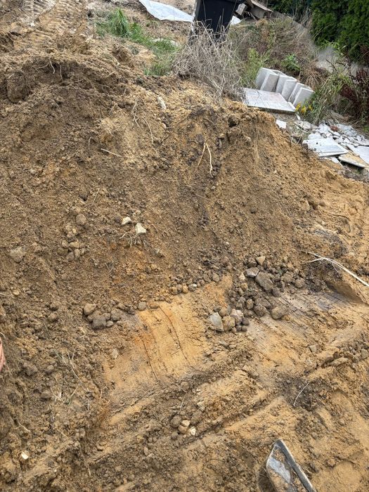 Oddam ziemie za darmo