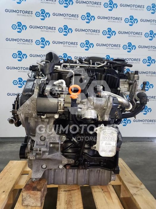 MOTOR SKODA OCTAVIA GREENLINE 1.6TDI CR 105CV, REF: CAYC