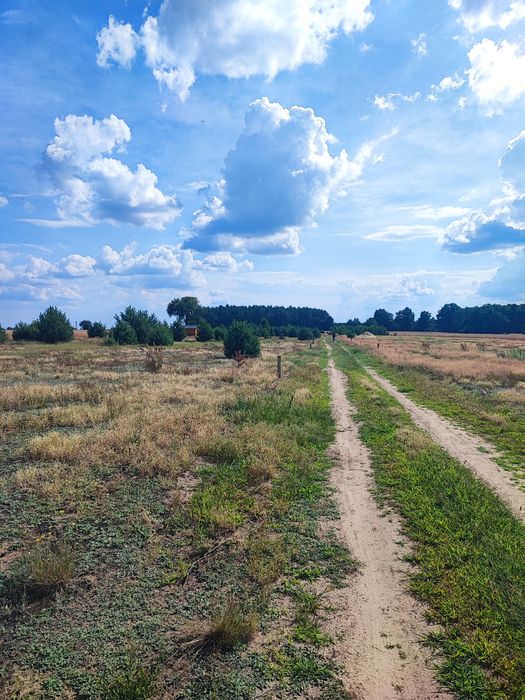 Działki budowlane - Zambski Stare