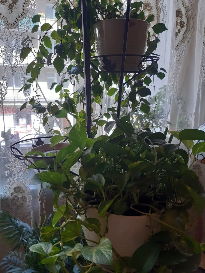 Stary metalowy kuty kwietnik 170 cm
