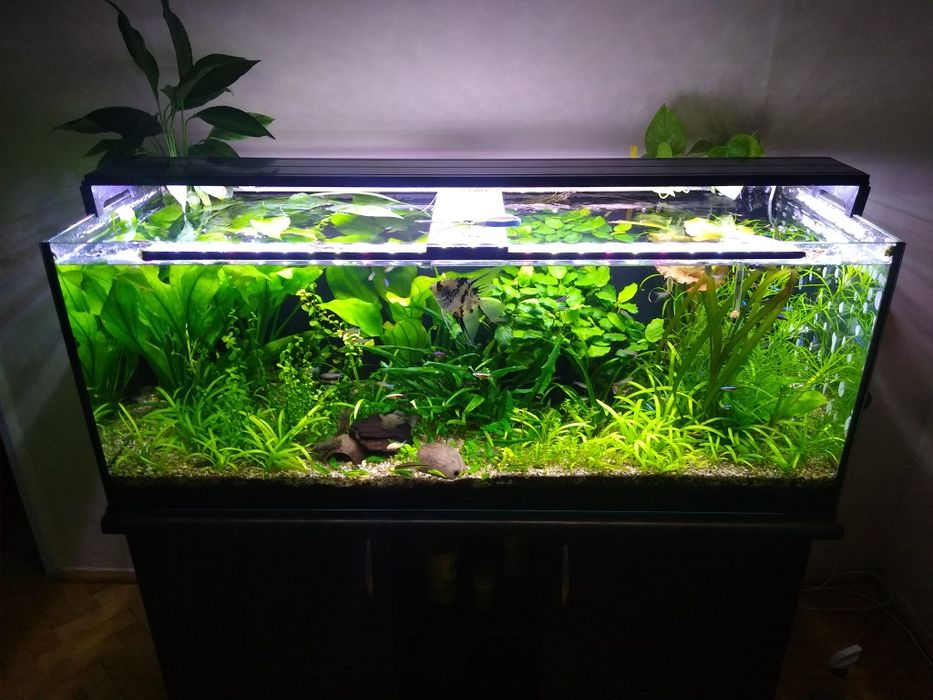 Zestaw akwarium 320l co2