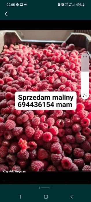 Sprzedam maliny 23zl z dowozem do klienta