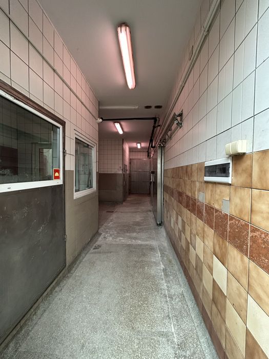 Zakład przetwórstwa mięsnego