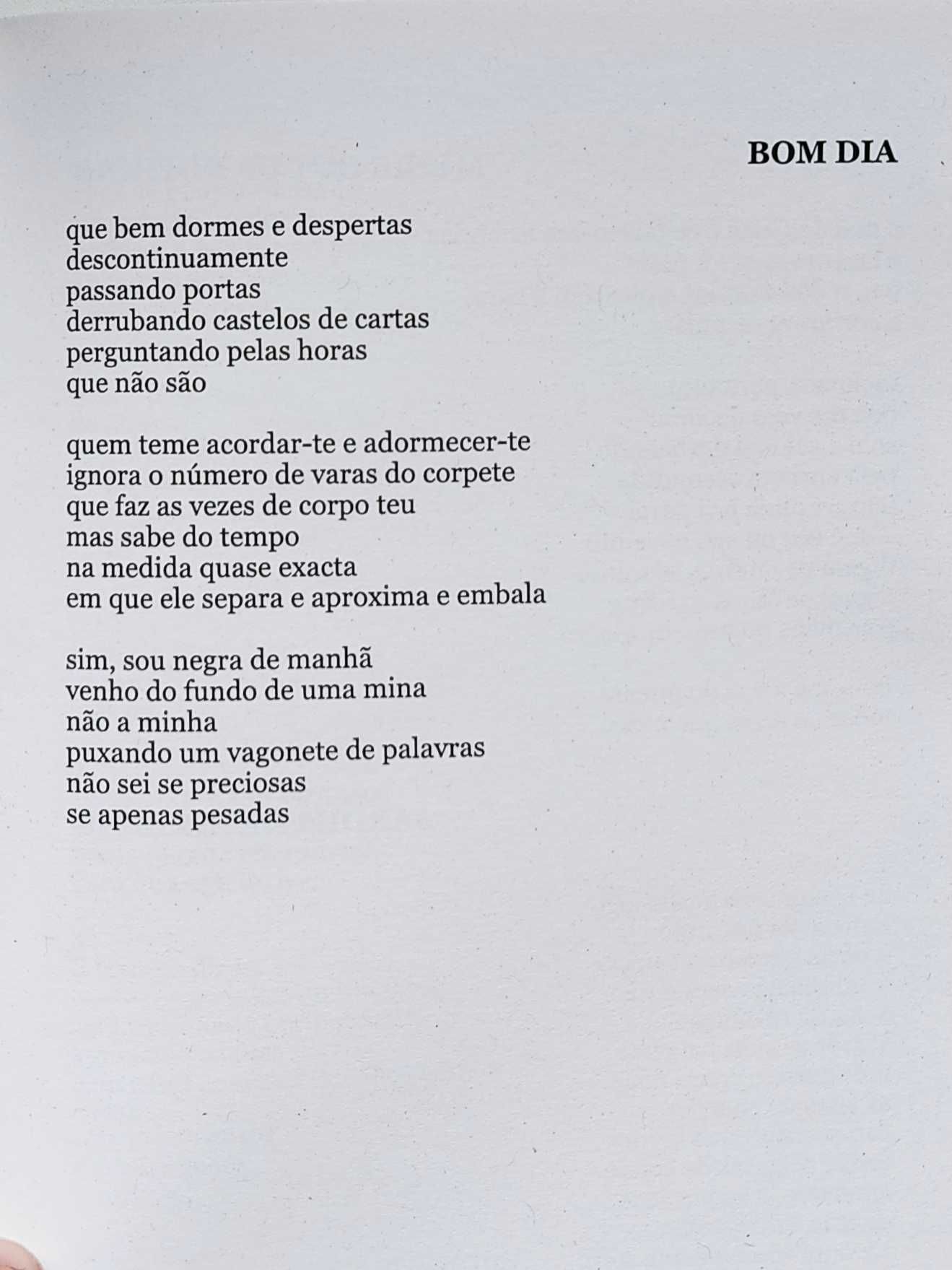 Regina Guimarães - Caderno da Cabeça Perdida